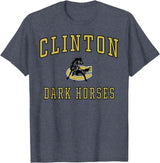 Official High School Fan Gear Clinton High School Dark Horses T-Shirt - Heather Blue