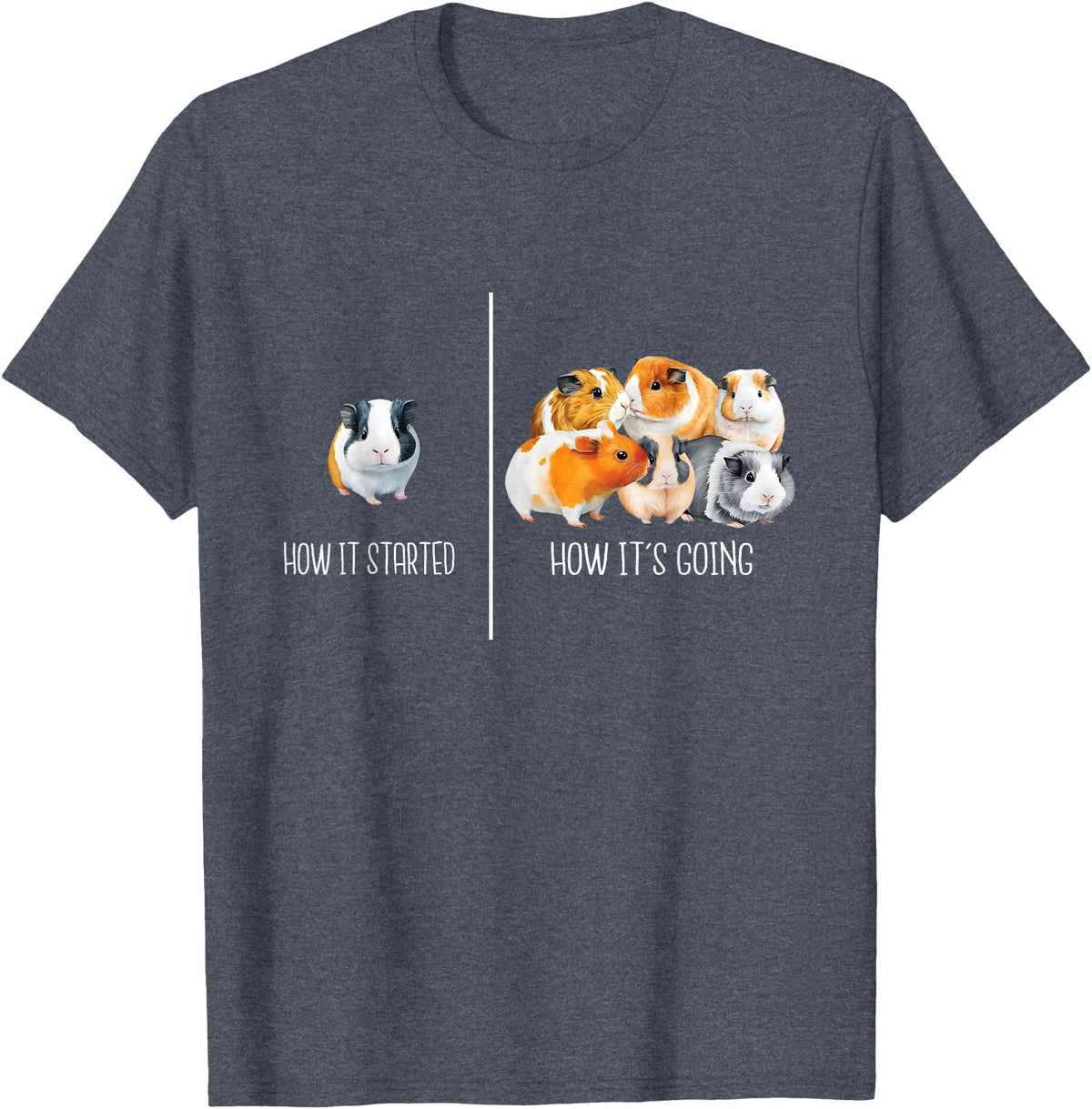 Funny Guinea Pig Shirts How It Started How It's Going - Guinea Pig Rodent Pet Lover T-Shirt - Heather Blue