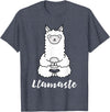 Cute Yoga Shirts - Llamaste Llamaste - Cute Yoga Lovers Gift, Adorable Llama Fitness T-Shirt - Heather Blue