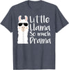 Mommy & Me Llama Co. Little Llama So much Drama Cool Kids Matching Family T-Shirt - Heather Blue