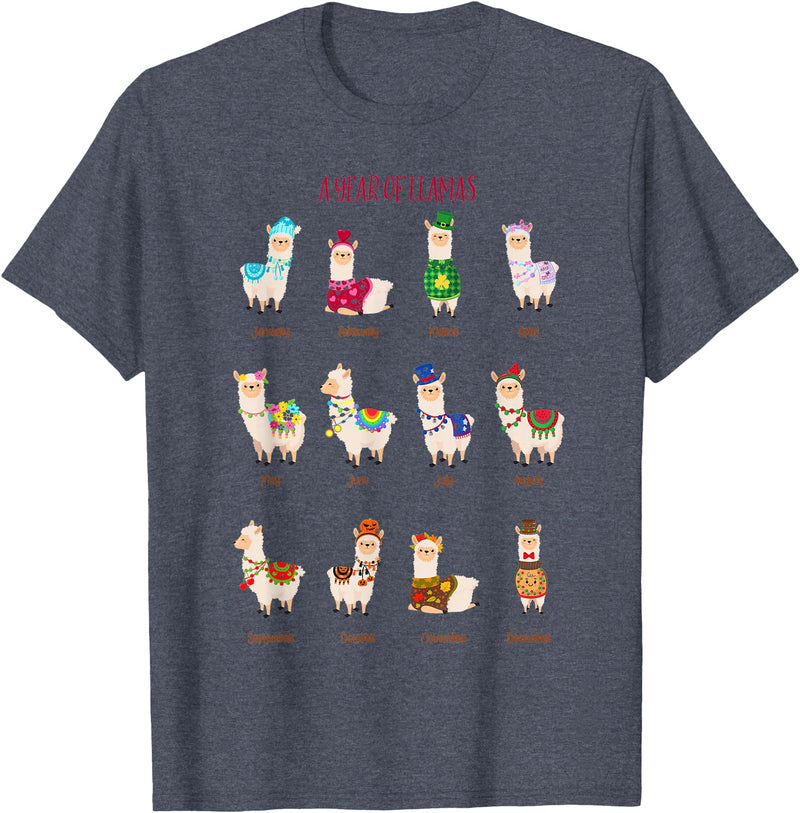 Funny Llamas A Year Of Llamas Funny Llama Alpaca T-Shirt - Heather Blue