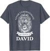Gifts for David David Gift Name Lion T-Shirt - Heather Blue