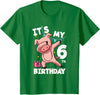 Pig Birthday Outfit for Boys Girls Party Supplies Its My 6th Birthday 6 Year Old Pig Birthday T-Shirt - Kelly Green