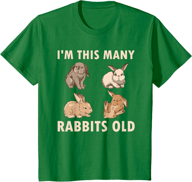 Cute Rabbit Lover Bunny Graphic T-Shirt (Cranberry Red) in Kelly Green