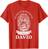 Gifts for David David Gift Name Lion T-Shirt - Red