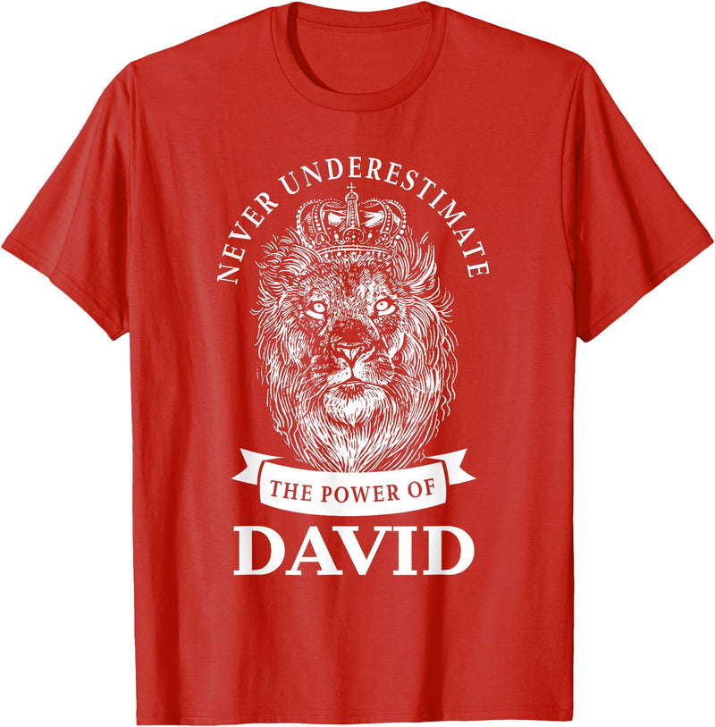 Gifts for David David Gift Name Lion T-Shirt - Red