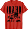 Idaho Is Calling And I Must Go! Idaho Is Calling & I Must Go Bear Mountains Vintage Gift T-Shirt - Red