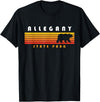 Allegany State Park Hiking Allegany State Park Camping New York Bear Retro T-Shirt - Black