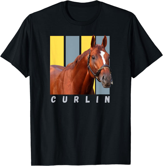 Handicapping Horse Gear Curlin Horse, Horse Racing Shirt, Del Mar, Santa Anita Shirt T-Shirt - Black
