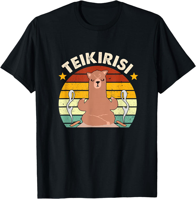 Teikirisi Take It Easy Funny Spanish Llama Latina Yoga T-Shirt - Black