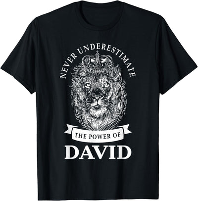 David Gift Name Lion T-Shirt