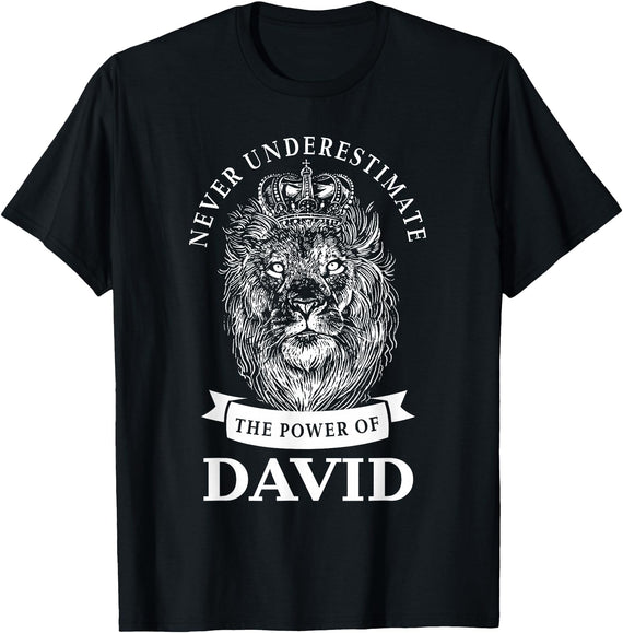 Gifts for David David Gift Name Lion T-Shirt - Black