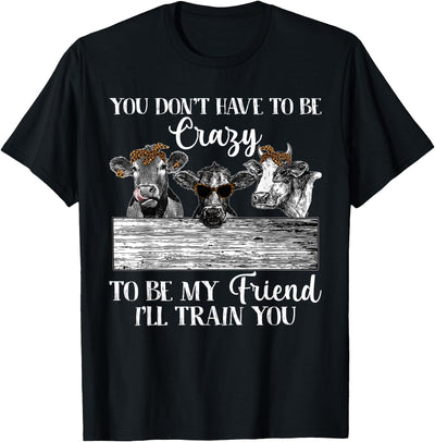 You Don't Have to Be Crazy My Friend You Dont Friend I'll T-Shirt