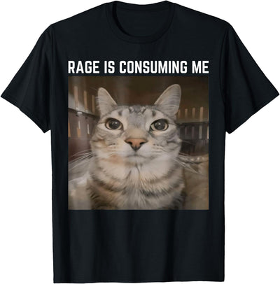 Cat Meme Funny Memes Internet Memes Humorous Joke Rage is Consuming Me Meme Cat Meme Oddly Specific Memes Joke T-Shirt