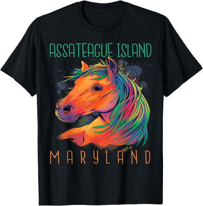 Assateague Island Horse Riding Maryland Souvenir Colorful Horse Assateague Island Maryland Riding Souvenir T-Shirt