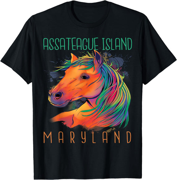 Assateague Island Horse Riding Maryland Souvenir Colorful Horse Assateague Island Maryland Riding Souvenir T-Shirt - Black