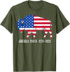 American Buffalo Design for 250th Anniversary Vintage Retro Bison American Flag Buffalo Simple 4th of July T-Shirt - Olive