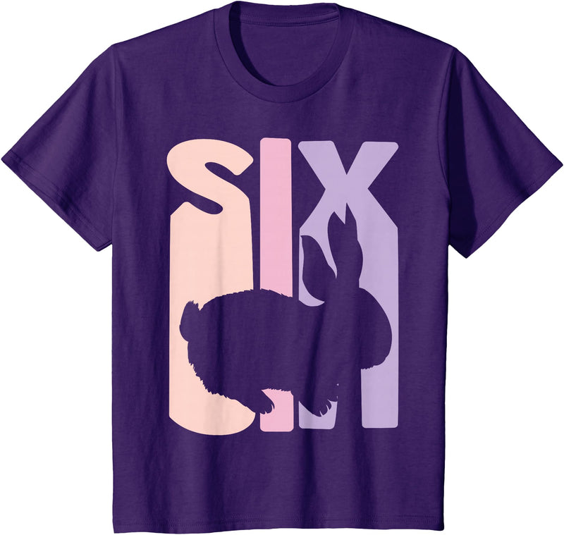 6th Birthday Gift Bunny Rabbit Fan 6 Years Old Girl T-Shirt in Purple