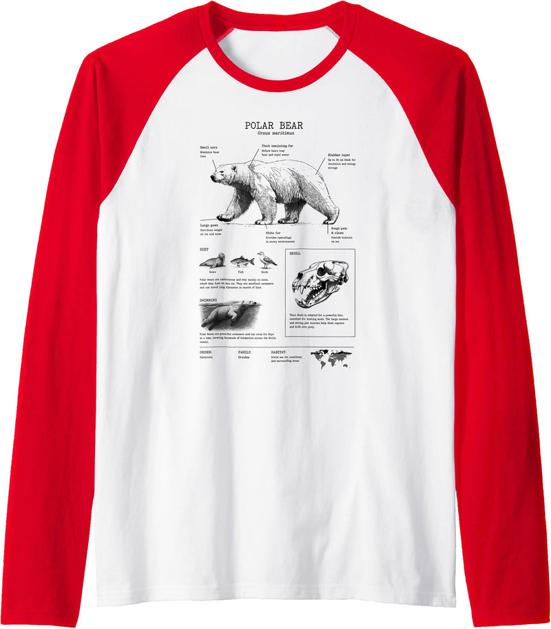 Orca whale Anatomy, Marine Biologist Polar Bear Anatomy, Bear Lover, Marine Biologist Raglan Baseball Tee - Red/White