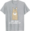Funny Llama And Alpaca Gifts I Just Really Like Llamas T-Shirt - Heather Grey