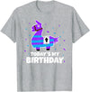 Todays My Bday LLama Tees Cute Birthday Llama Funny Bday Animal Party T-Shirt - Heather Grey