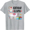 Matching Llama Birthday Party Supplies Birthday Llama Girl Birthday Party Llama Birthday Outfit T-Shirt - Heather Grey