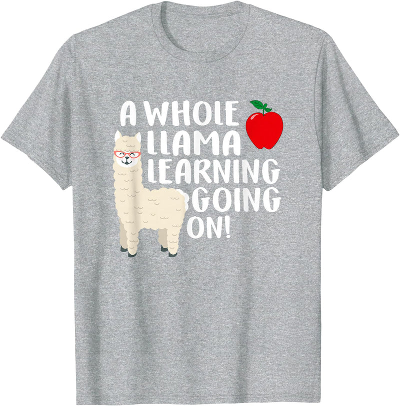 SOMMAS TEACHER A Whole Llama Learning Going on Funny First Grade Teacher T-Shirt - Heather Grey