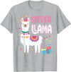 Family Matching Llama Birthday Party Supplies Sister Llama Sister Of The Birthday Llama Birthday T-Shirt - Heather Grey