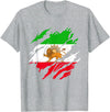 Iran Persia Flag Lion Scratch Iranian Persian Lion Iran T-Shirt - Heather Grey