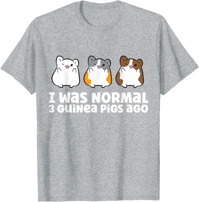 Guinea Pig Tees And Gifts For Guinea Pig Owners Guinea Pig Owner I Was Normal 3 Guinea Pigs Ago T-Shirt - Heather Grey