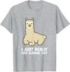 Llama Gifts For Llama Lovers Llama Lover I Just Really Like Llamas, OK Funny Llama T-Shirt - Heather Grey