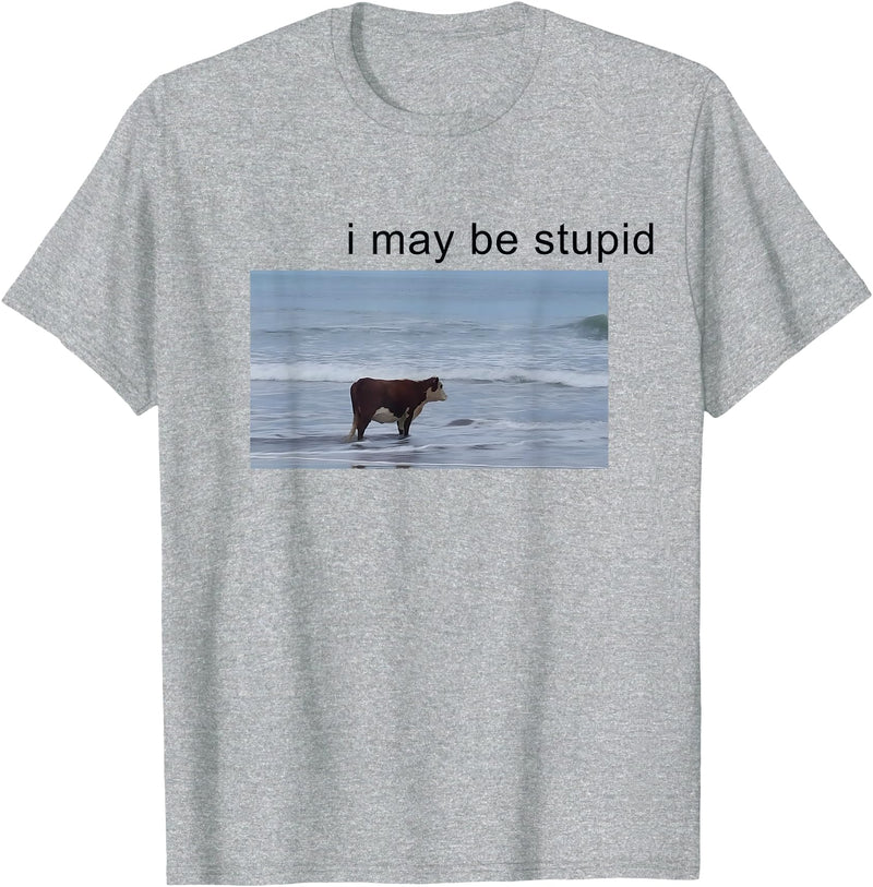 I May Be Stupid Cow Meme i may be stupid Funny T-Shirt - Heather Grey