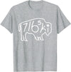 Buffalo Polish 716 716ski Dyngus Day Buffalo NY Polish T-Shirt - Heather Grey