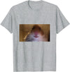 Funny Dank Meme Hamster Staring Front Camera Internet Gift T-Shirt - Heather Grey