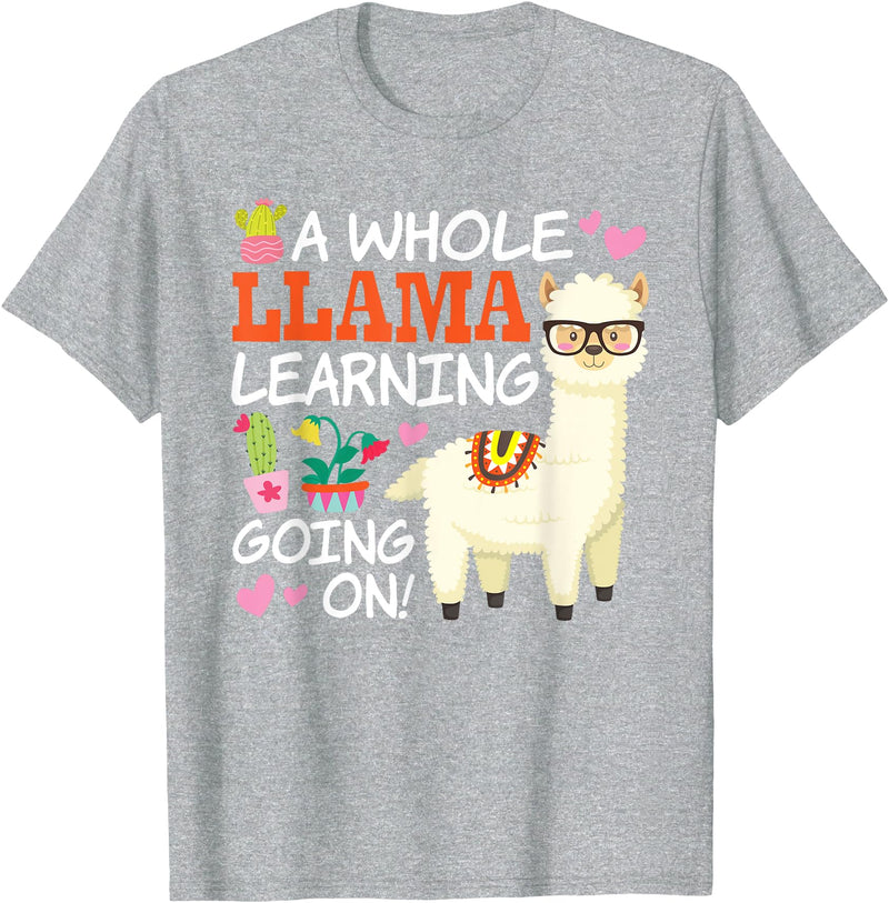 Llama School Co Llama Learning T Shirt Teachers Students Alpaca Lovers Gift T-Shirt - Heather Grey