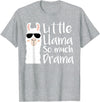Mommy & Me Llama Co. Little Llama So much Drama Cool Kids Matching Family T-Shirt - Heather Grey