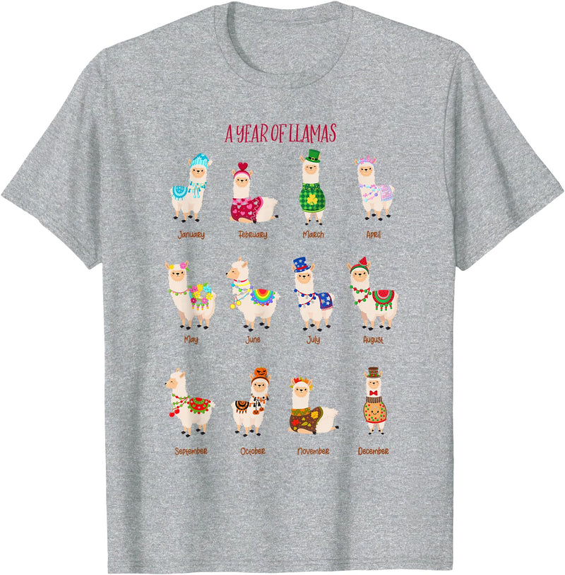Funny Llamas A Year Of Llamas Funny Llama Alpaca T-Shirt - Heather Grey