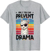 No Drama Llama and Alpaca Designs Only You Can Prevent Drama Llama T-Shirt - Heather Grey