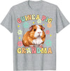 Guinea Pig Rodent Pet Owner Gifts Guinea Pig Grandma Groovy Guinea Pig T-Shirt - Heather Grey
