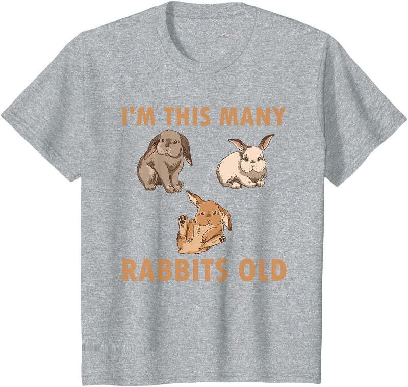 Cute Kids Rabbit Lover Bunny Graphic T-Shirt in Heather Grey