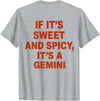 If It’s Sweet And Spicy It’s A Gemini Shirt If It’s Sweet and Spicy It’s A Gemini T-Shirt - Heather Grey